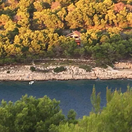Apartment By The Sea With Private Heated Hydromassage Pool Zirje