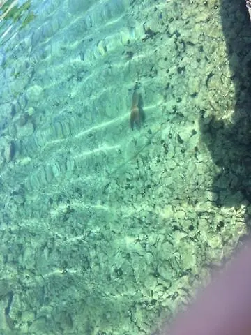 By The Sea With Private Heated Hydromassage Pool