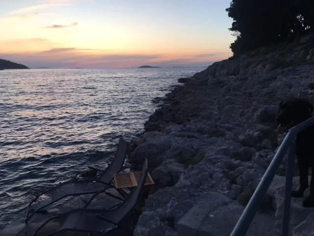 By The Sea With Private Heated Hydromassage Pool Appartement Žirje